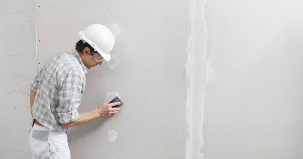 Best Real Estate Mold Inspection  in Mineville, NY