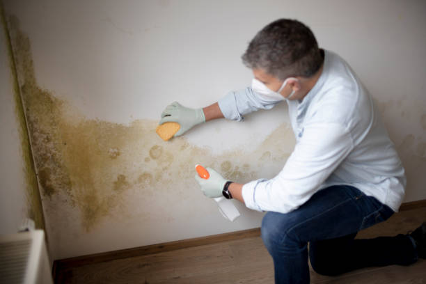 Best Post-Remediation Verification Testing  in Mineville, NY
