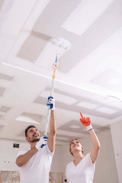 Best Water Damage & Mold Remediation  in Mineville, NY