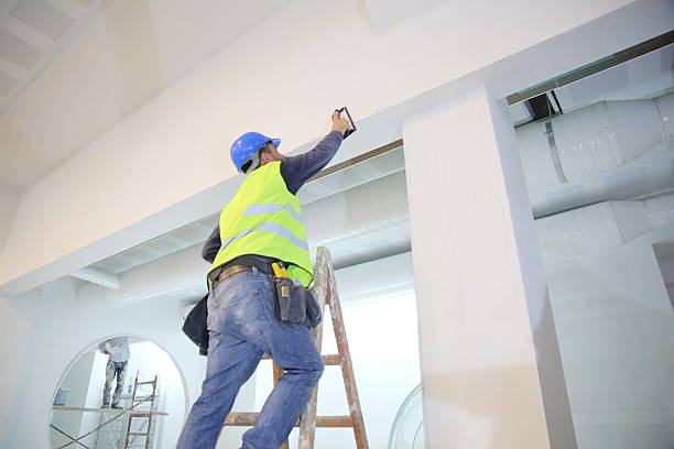 Best Mold Damage Restoration  in Mineville, NY